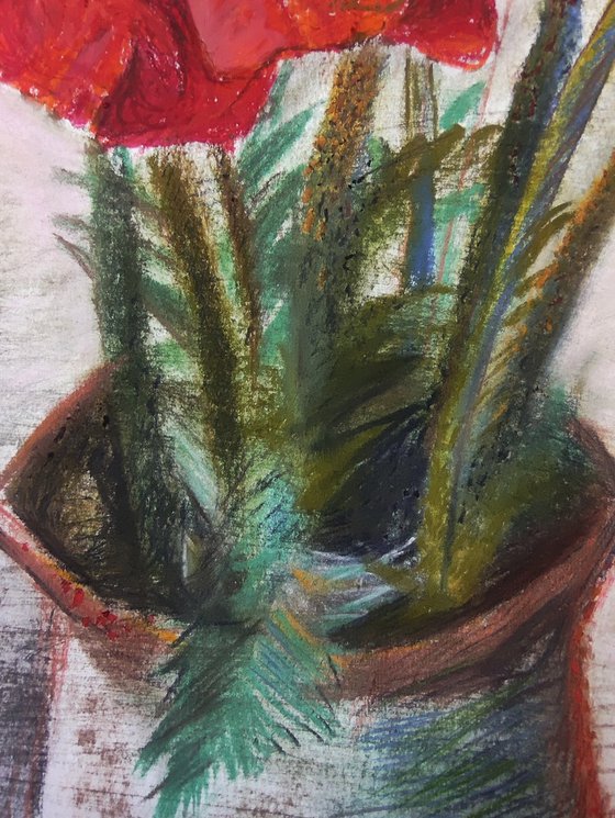 Red poppies