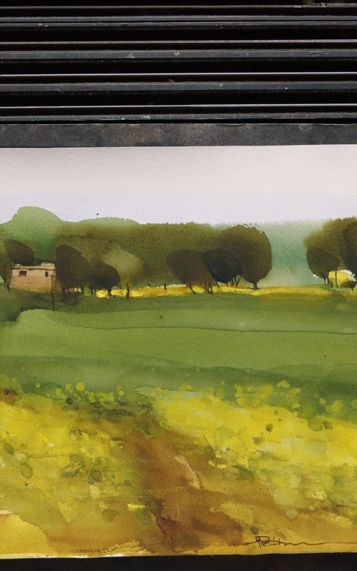 Indian summer evening by Prashant Prabhu