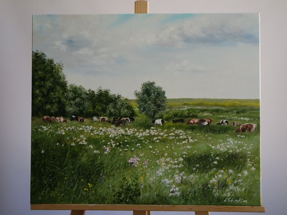 Grazing Cows in Summer