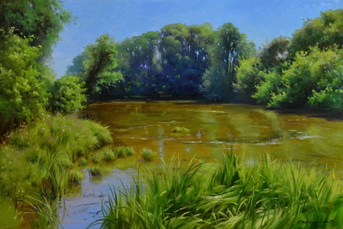 Impressionistic Landscape Oil Painting By Ruslan Kiprych, 24 X 16", Old Pond, Original Artwork