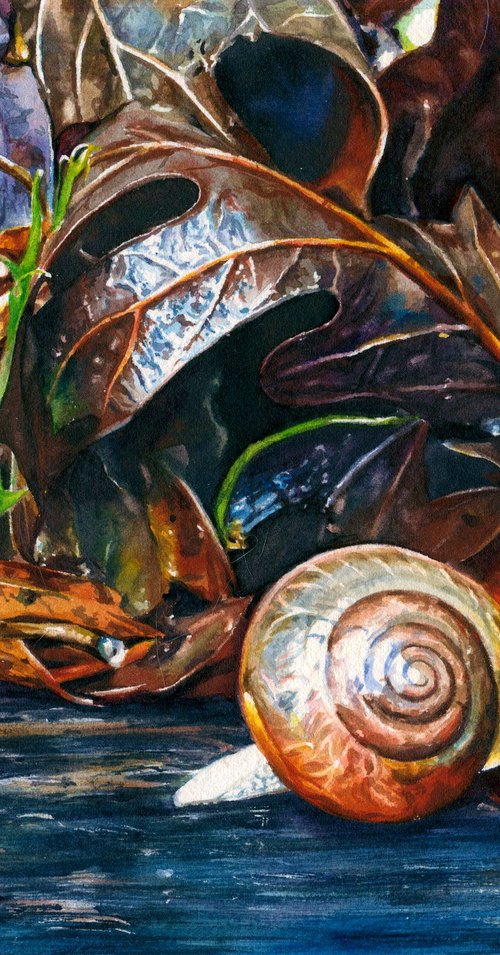 A Snail's Pace by Kelly Eddington