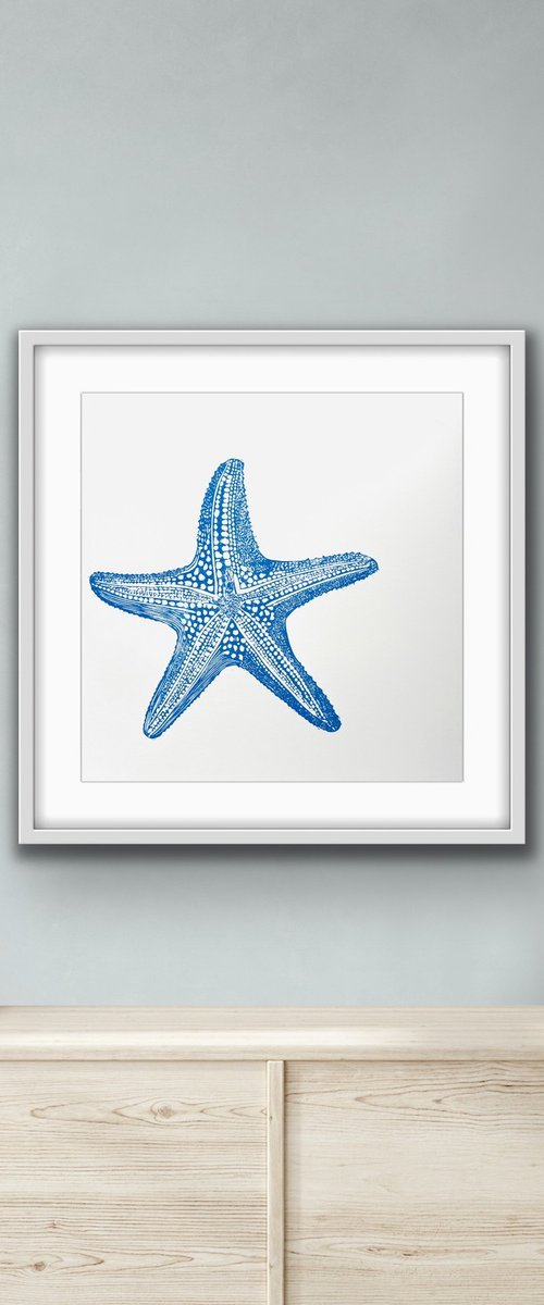 Starfish by Amy Cundall