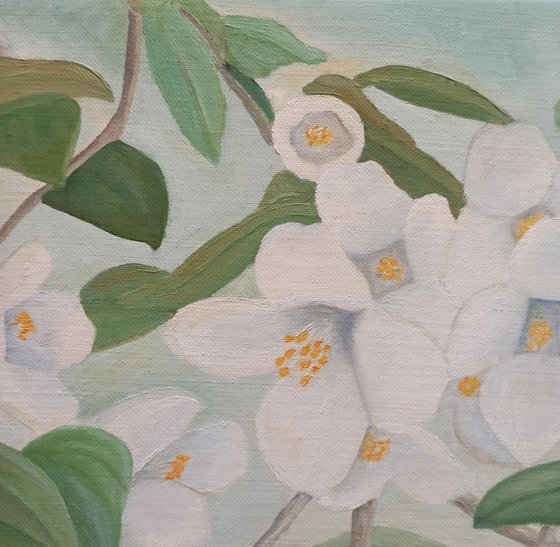 Orange Blossoms