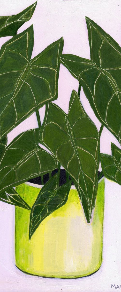 Plants #7 by Marisa Añón