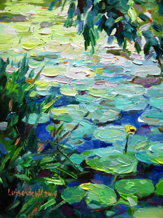 Overgrown pond with water lilies