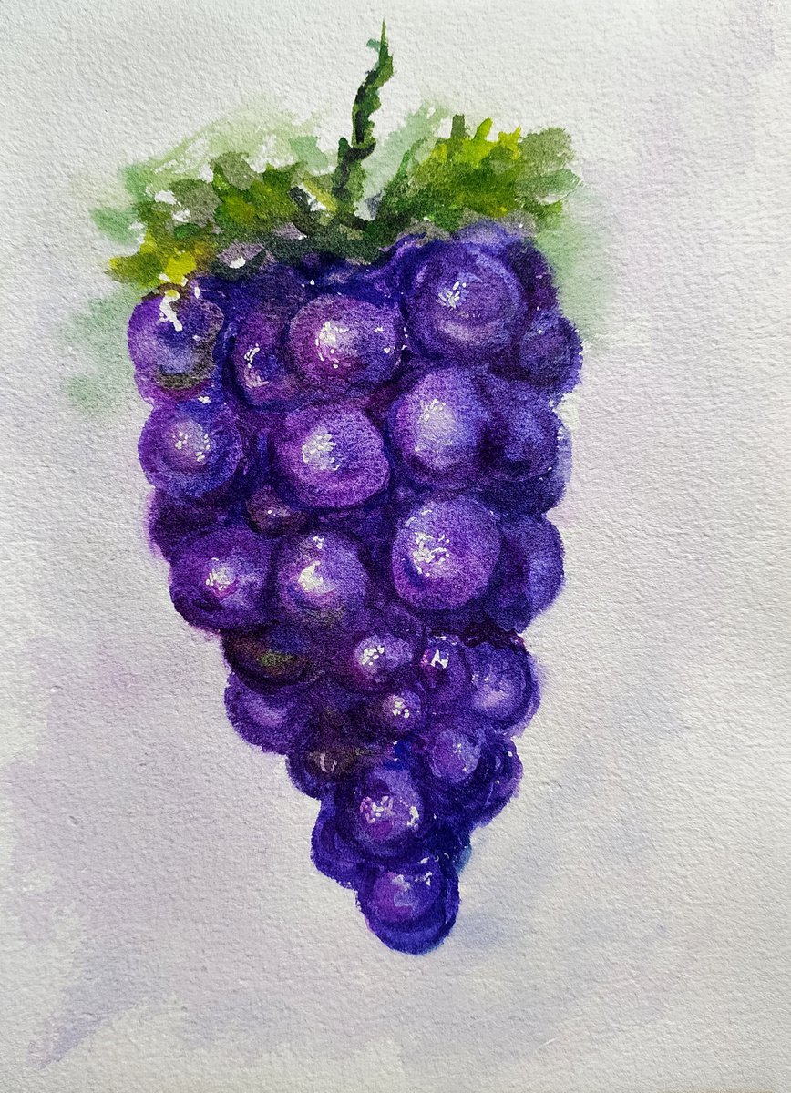 Purple grapes watercolor on paper 8.25x 5.25 by Asha Shenoy