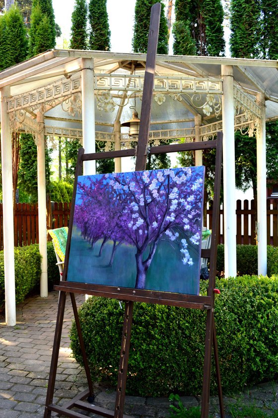 Spring in the garden