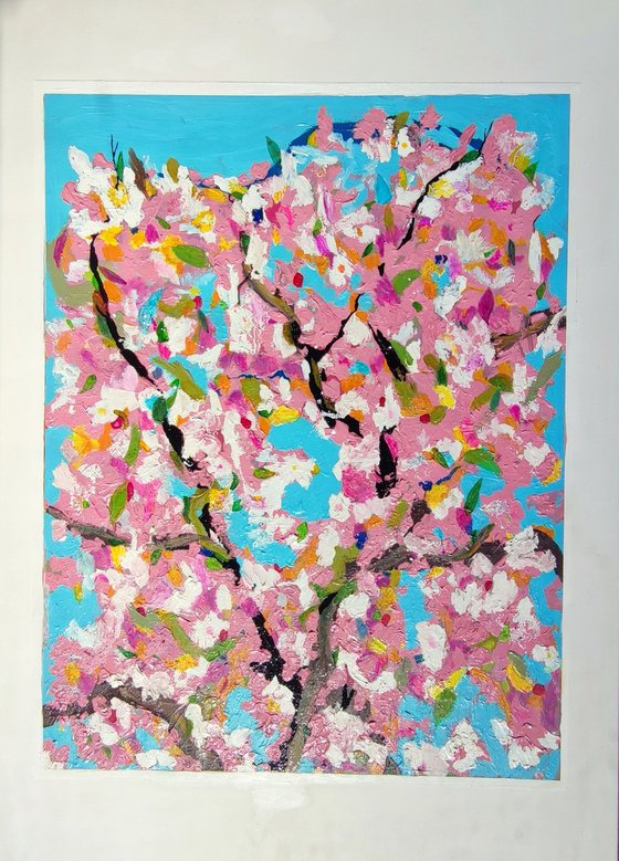 CHERRY BLOSSOM TIME