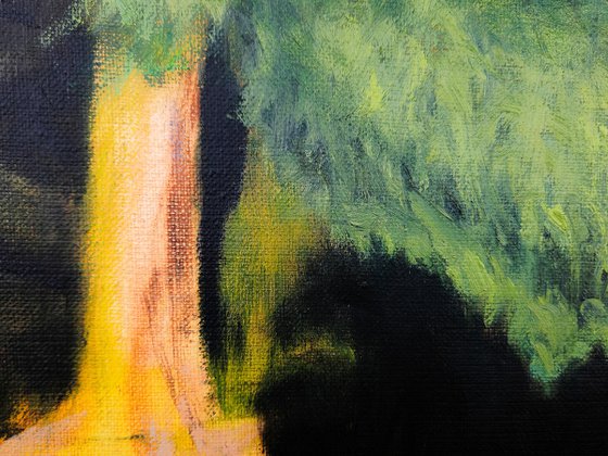 Wooden Bench in the Summer