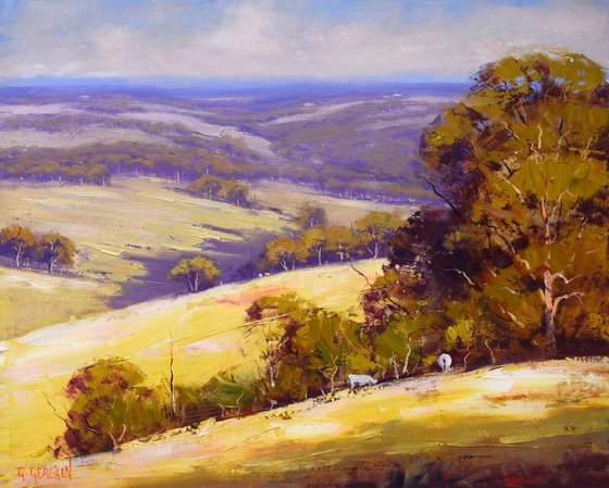 Australian summer landscape