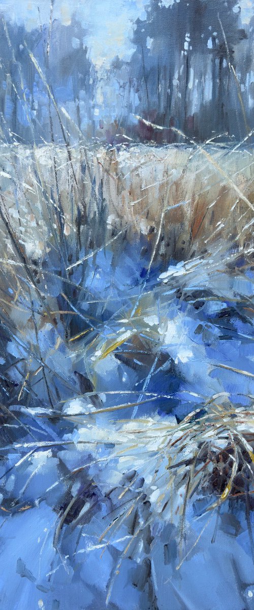Last day of January by Olha Laptieva