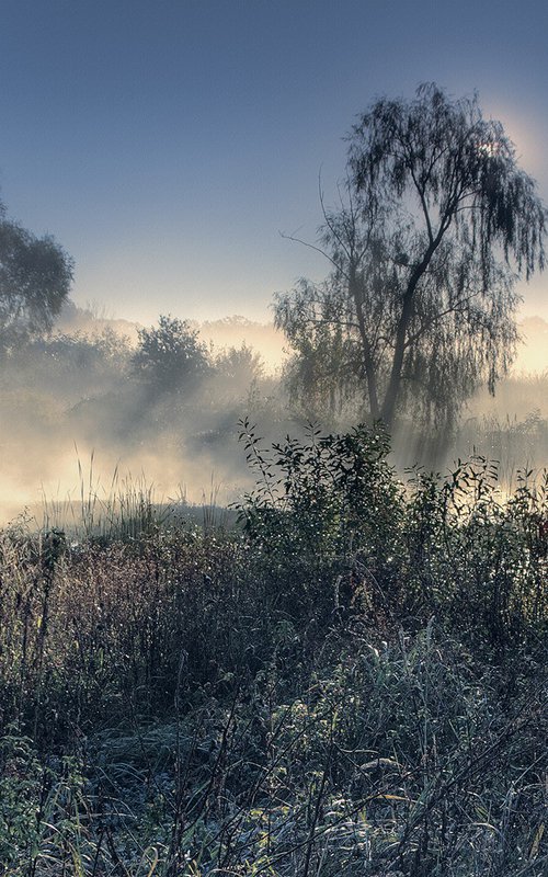 Fog at sunrise. by Valerix