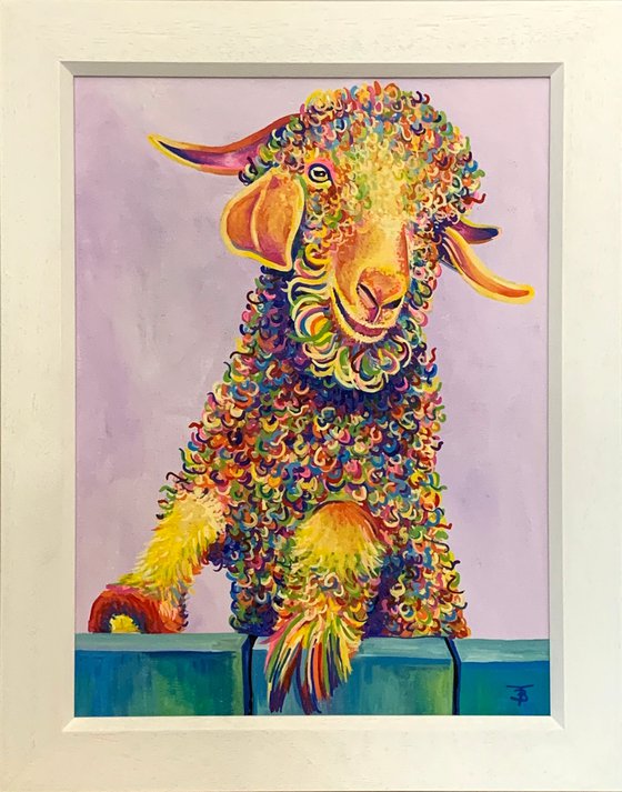 Keith the Curly Rainbow Goat