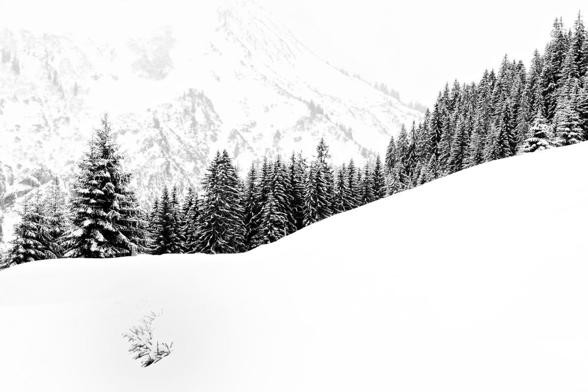 Photorealistic Photograph , The Silence By Christian Schwarz, 24 X 17, Artwork For Sale On Artfinder