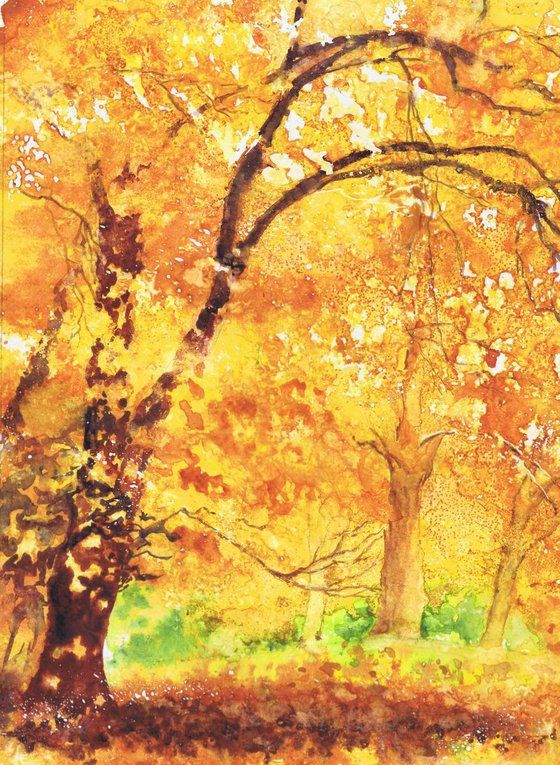 Golden Trees - Autumn trees painting