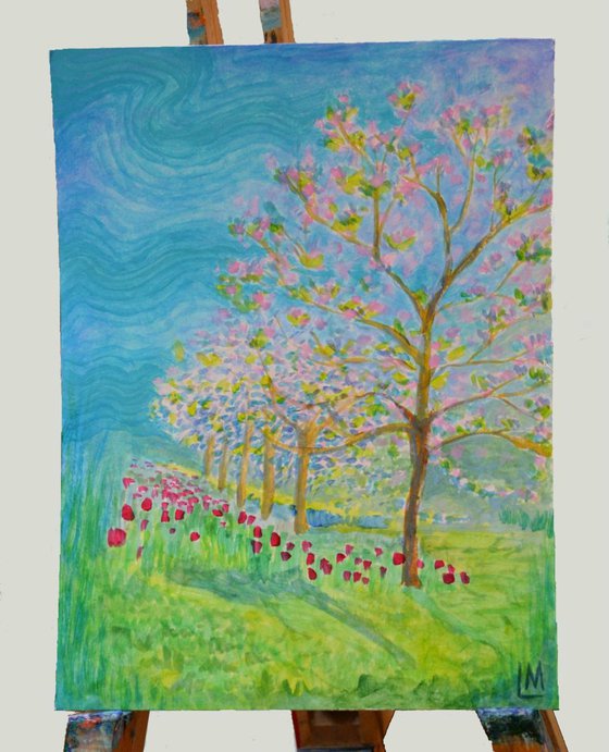 Blossom and Tulips - spring trees and flowers