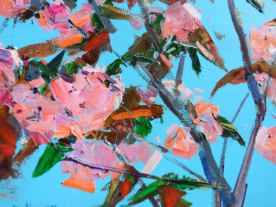 " sakura"