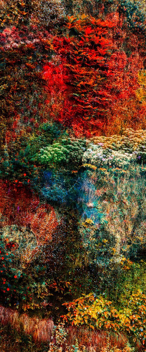 Wall of Nature LXVII by Viet Ha Tran