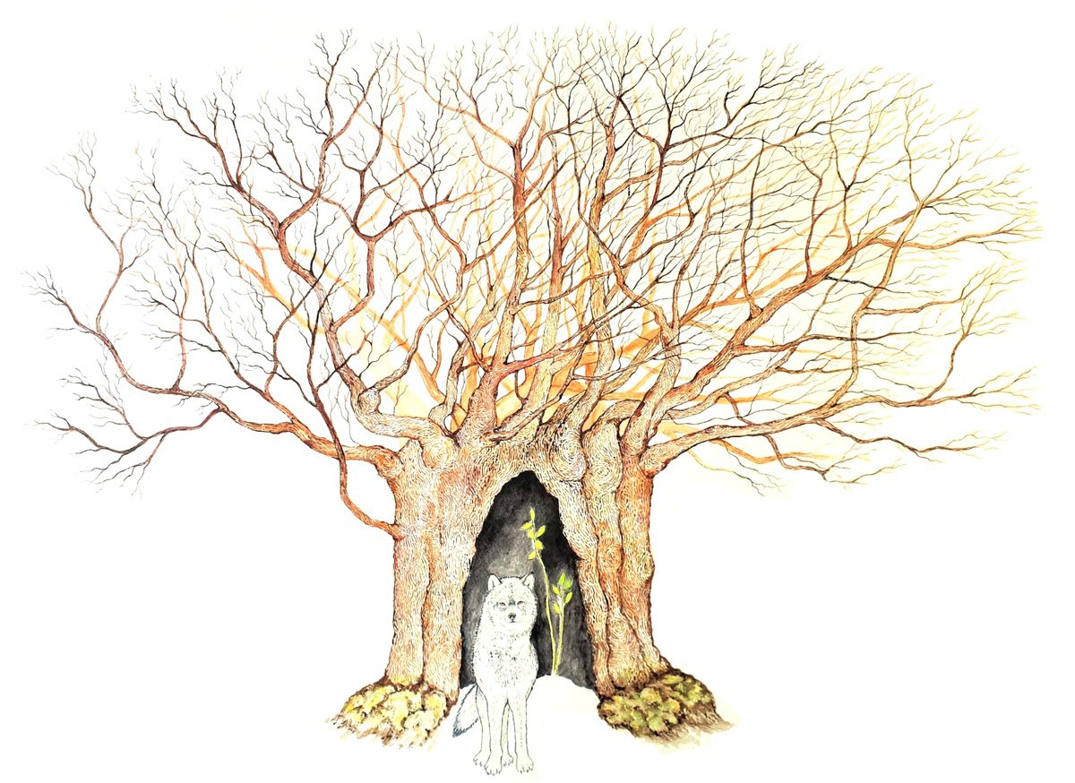 Illustrative Animal Watercolour By Marian Gorin, 30 X 22", The Spirit And The Dust, Original Artwork