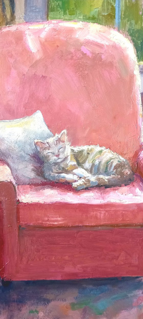 Ginger cat and armchair