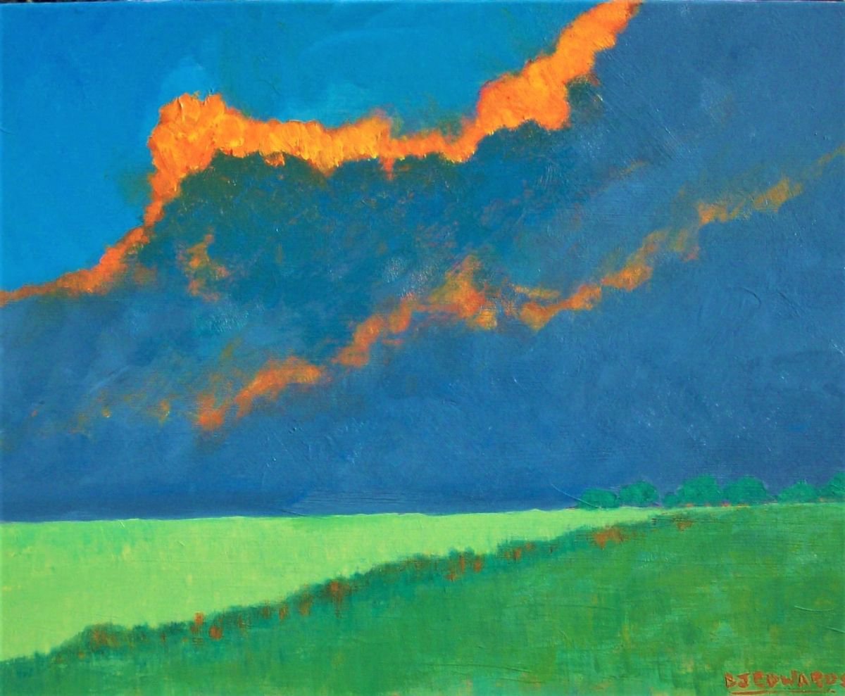 Fire in the Sky by David J Edwards