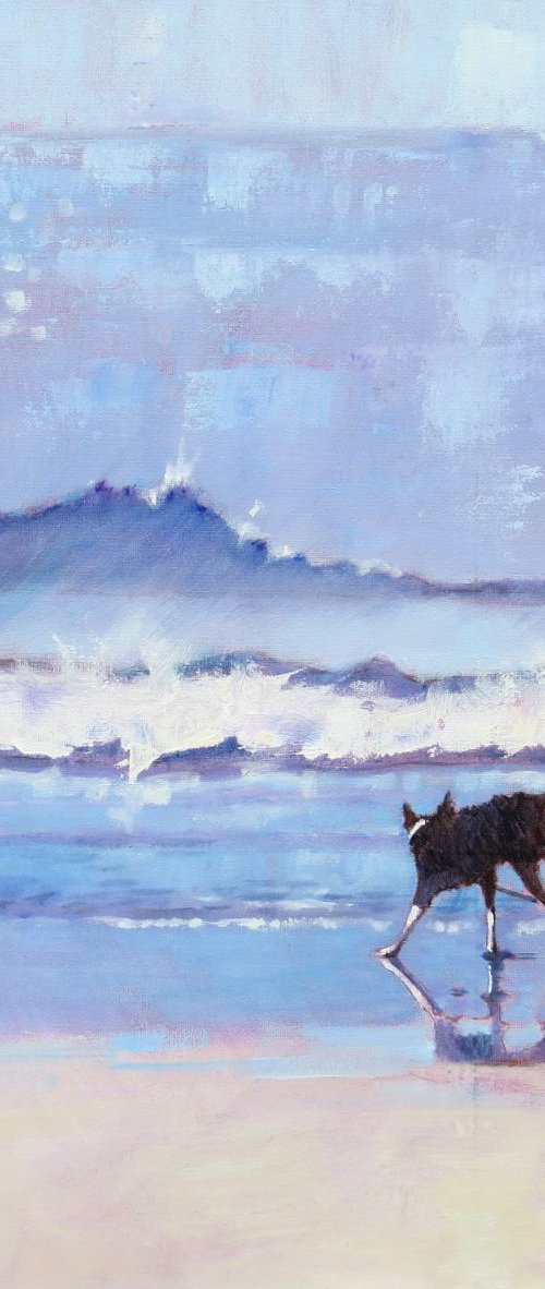 Border Collie Dog Grace Encounters a Wave. No 2 by Mary Kemp