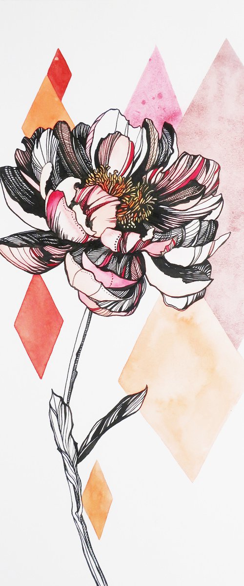 Peony by Alla Vlaskina