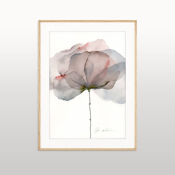 Silky Silver flower