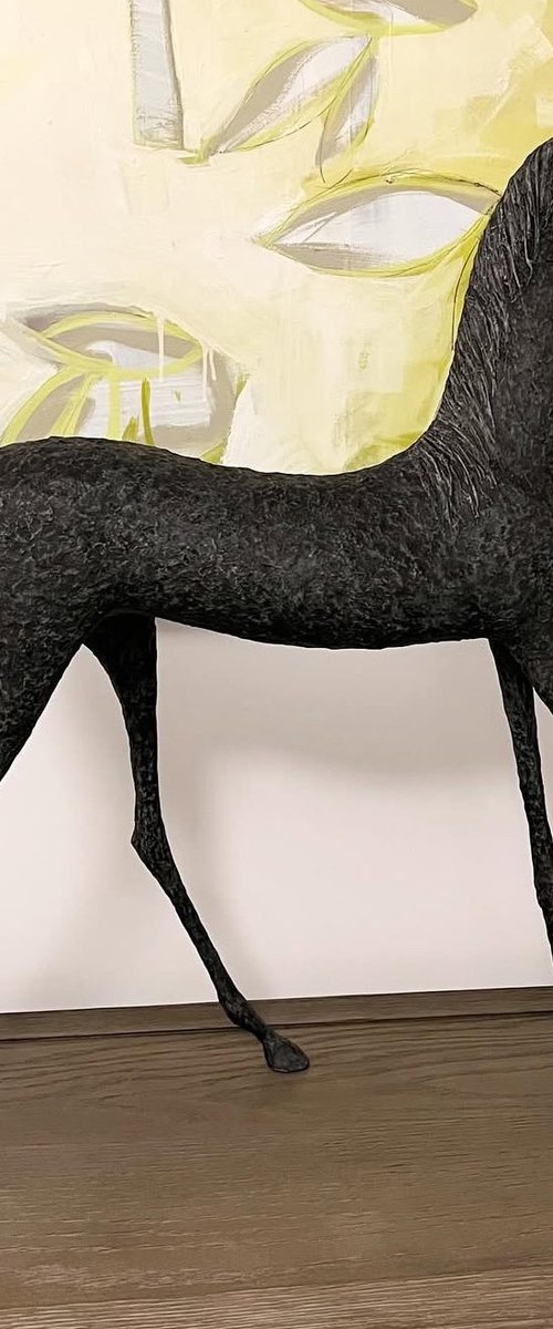 Yasmin by Alexandra Shorey