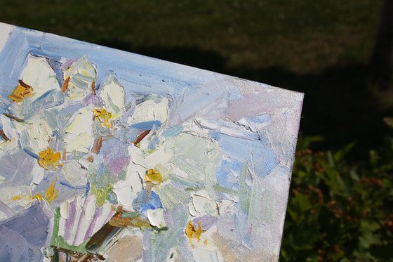 " Narcissus "