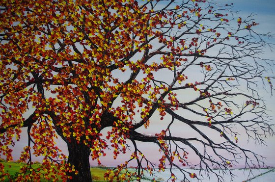 Oak tree in Autumn and Winter