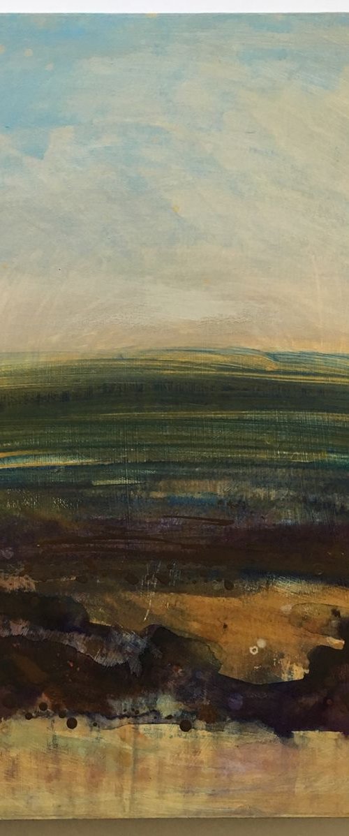 January Fields by Nichola Campbell