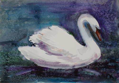 White Swan by Elena Sanina