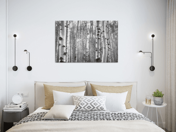 July Aspens in Black and White