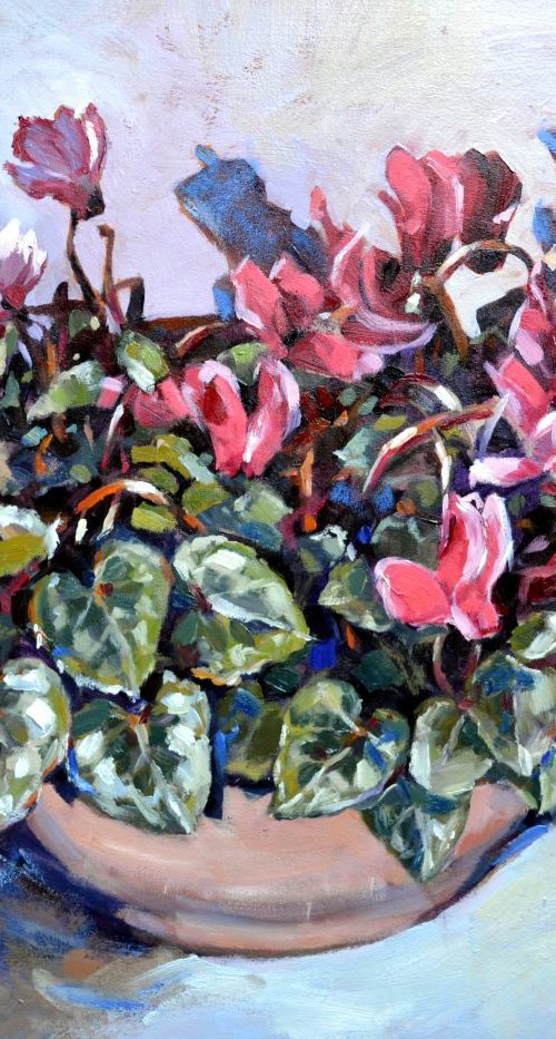 Cyclamens. by Irina Ushakova