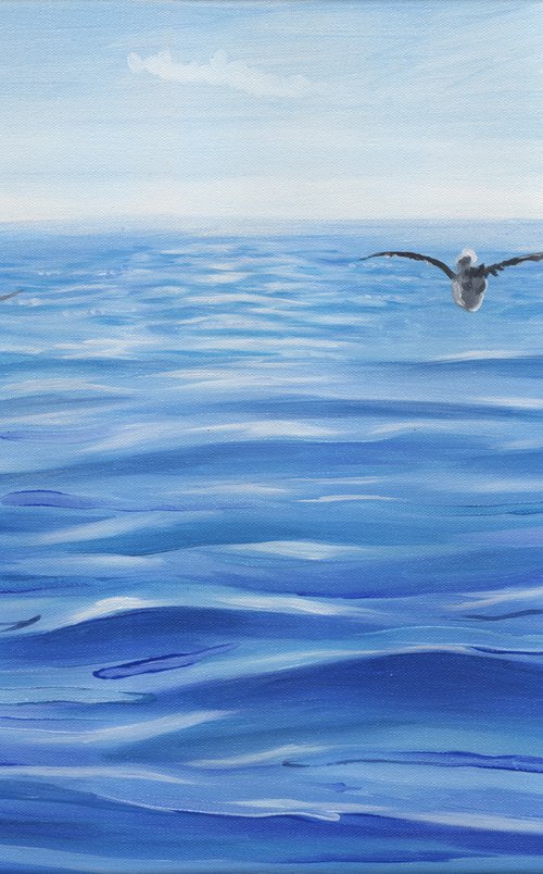 Ocean Gulls by James Potter