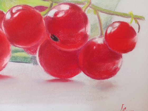 Translucent red berries