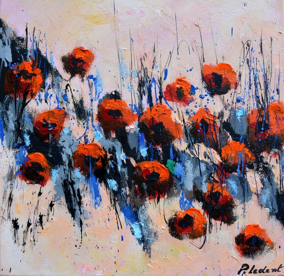 Red poppies  4426