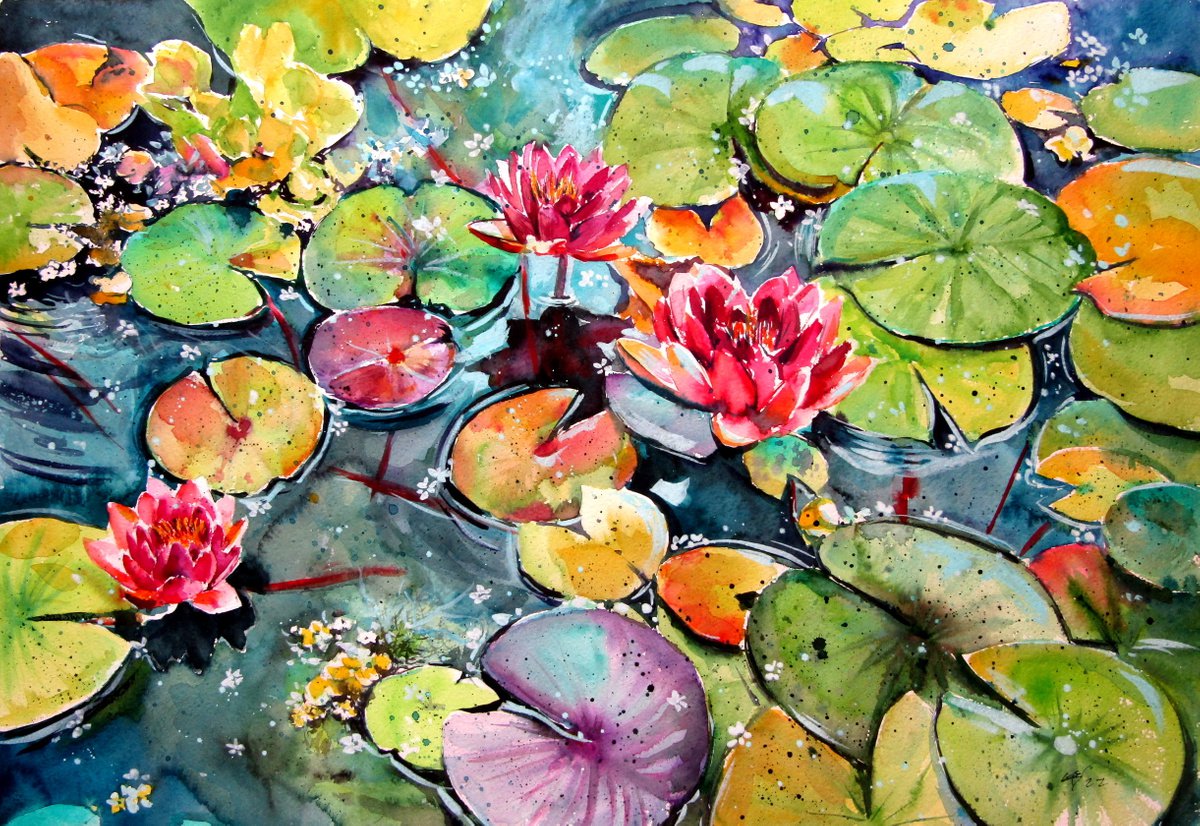Water lilies by Kovacs Anna Brigitta