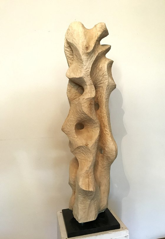 Betula