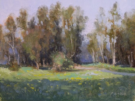 Glade near the Sasse