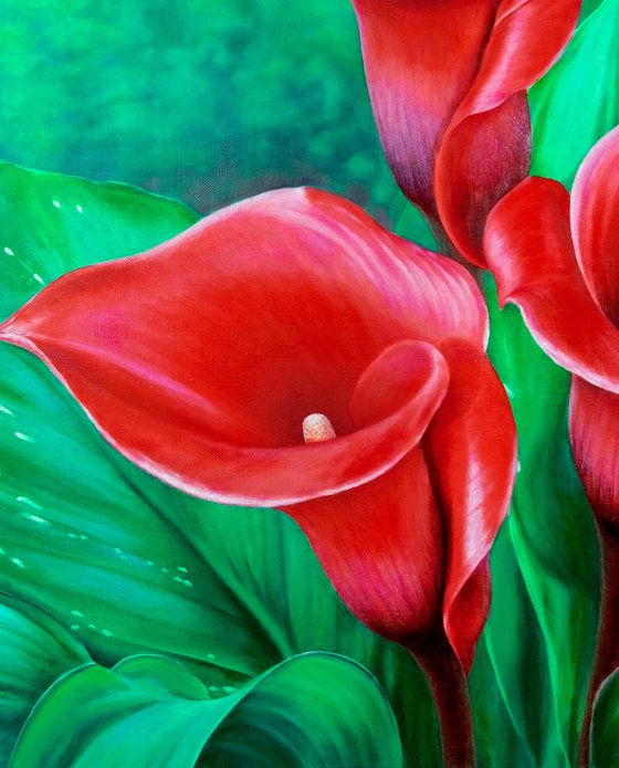 Red calla lilies.