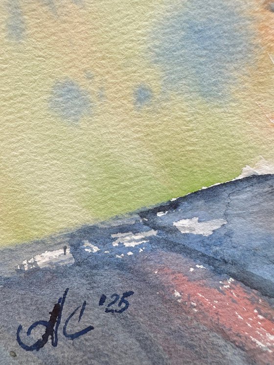 Birds: Redstart and Pink Robin