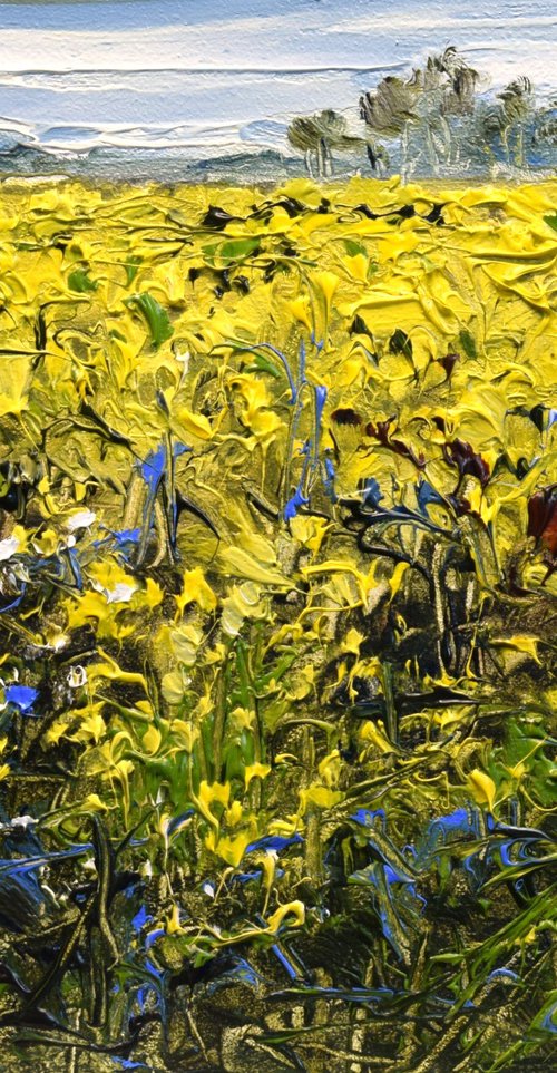 Rhapsody by Sonja Brussen