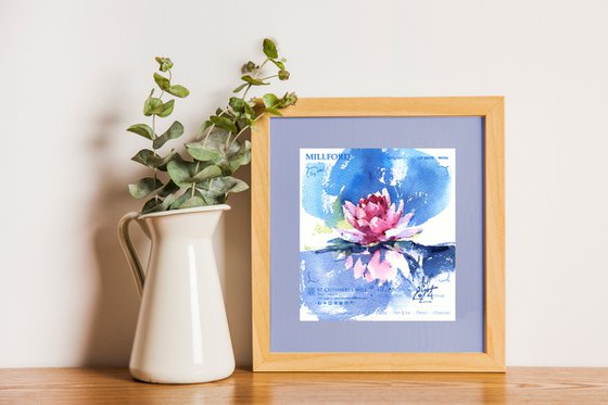 Lotus reflection
