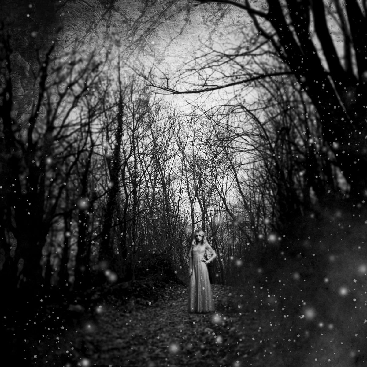 Winter Fairytale by Carmelita Iezzi