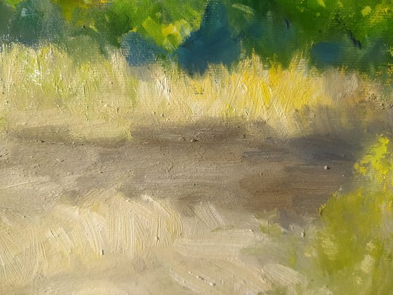 Ukrainian landscape