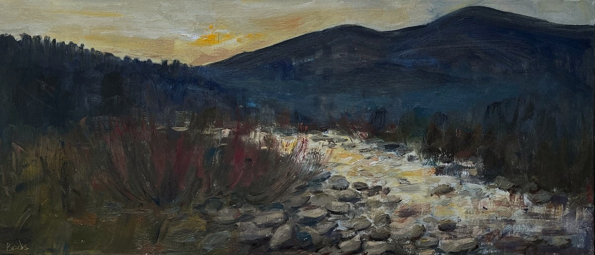 Impressionistic Landscape Oil Painting By Bohdan Dobrivskyi, 31 X 14, Sunset, Original Artwork