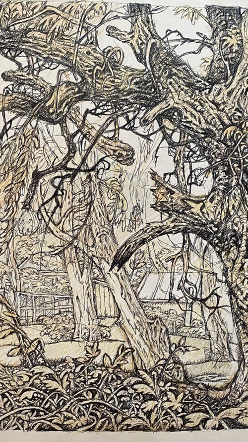 Old willow by Oleg and Alexander Litvinov