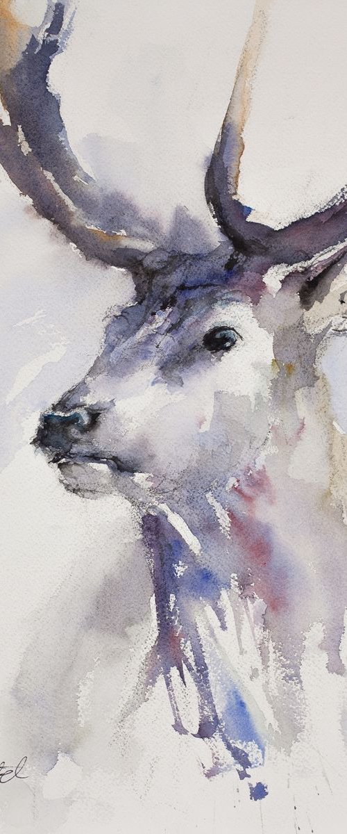 Watercolour Stag by Tomasz Mikutel